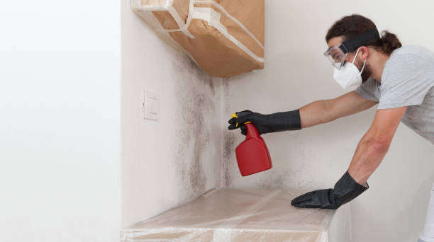 Professional Bathroom Mold Removal technician working in Wilson, NC