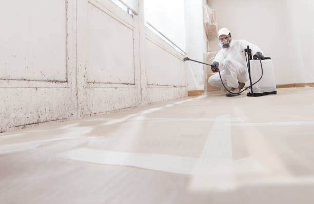 24/7 Emergency Bathroom Mold Removal experts in Wilson, NC