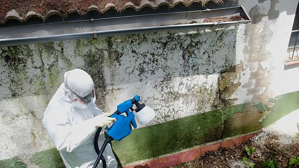 Top rated local Bathroom Mold Removal specialists in Wilson, NC